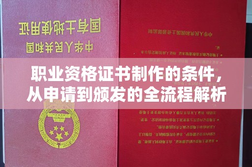 望谟职业资格证书制作的条件，从申请到颁发的全流程解析